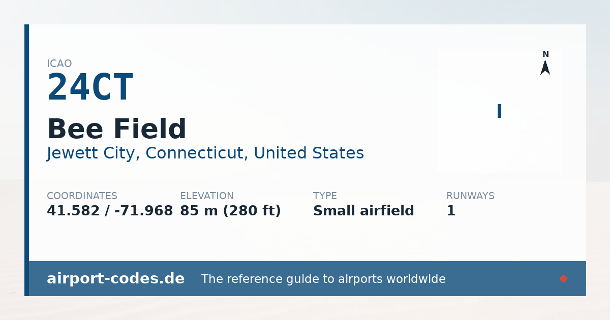 Generated summary graphic for Bee Field showing codes, coordinates and a runway sketch