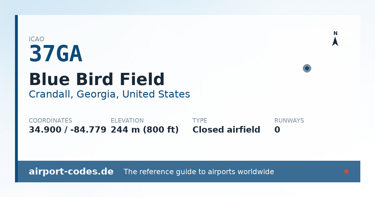 Generated summary graphic for Blue Bird Field showing codes, coordinates and a runway sketch