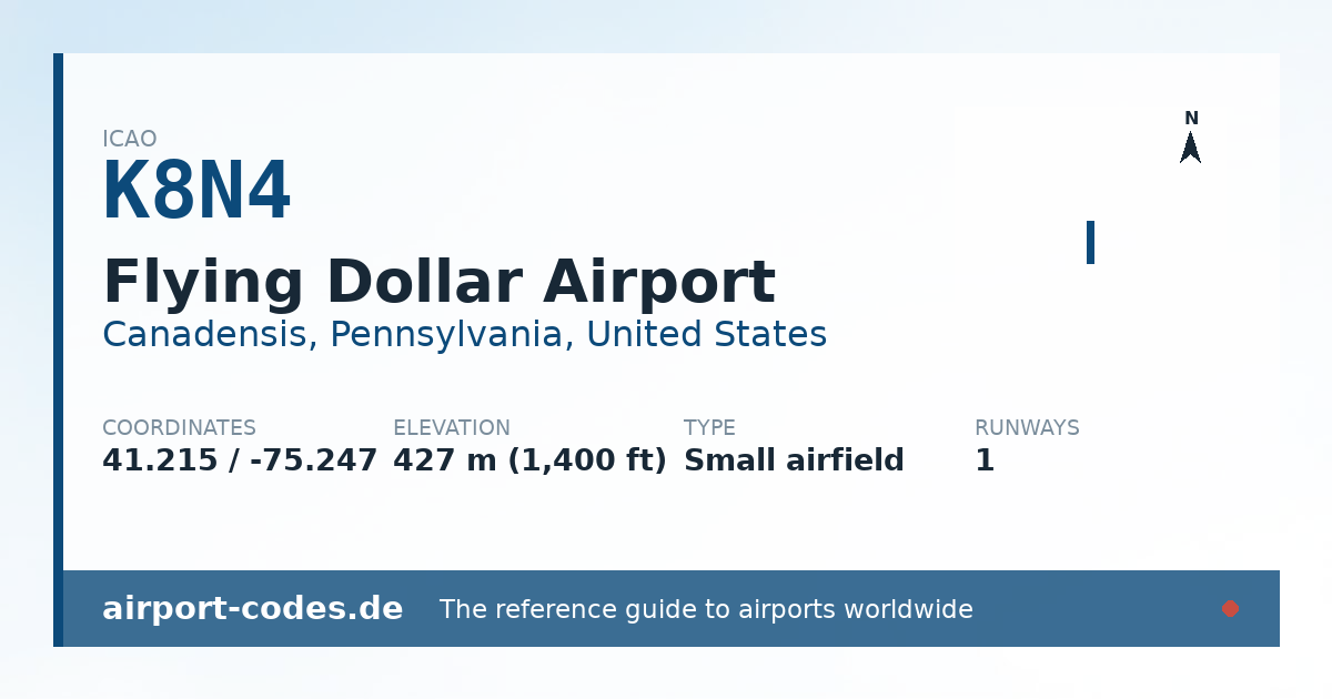 Generated summary graphic for Flying Dollar Airport showing codes, coordinates and a runway sketch